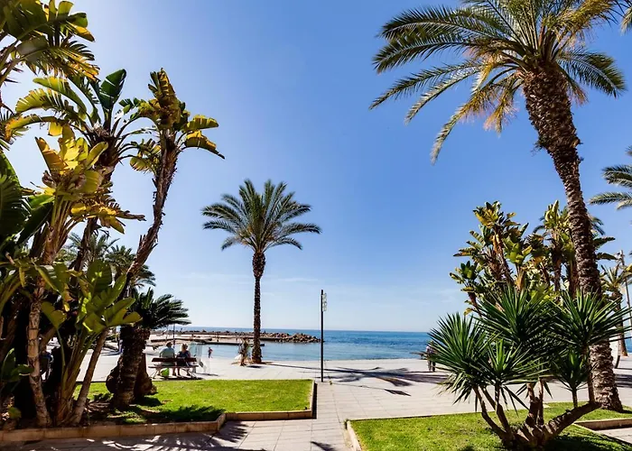 Gala Centro Castilla Torrevieja